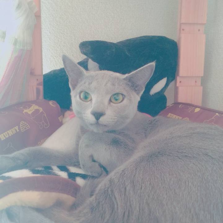 B3845fd7 ecfb 4b5e 9097 4cbeabb47879 1514791797646