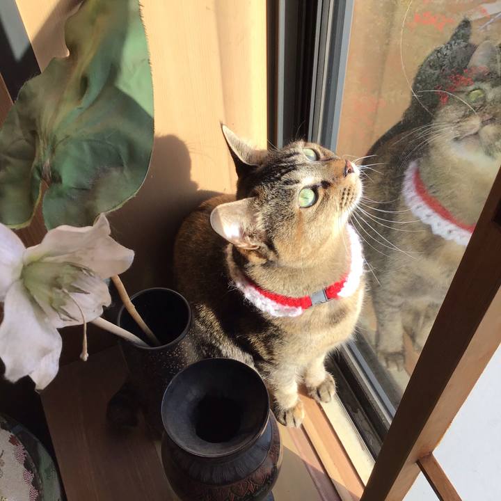 B38462ce 7f30 431c 8700 e18131daf82f 1609808144078