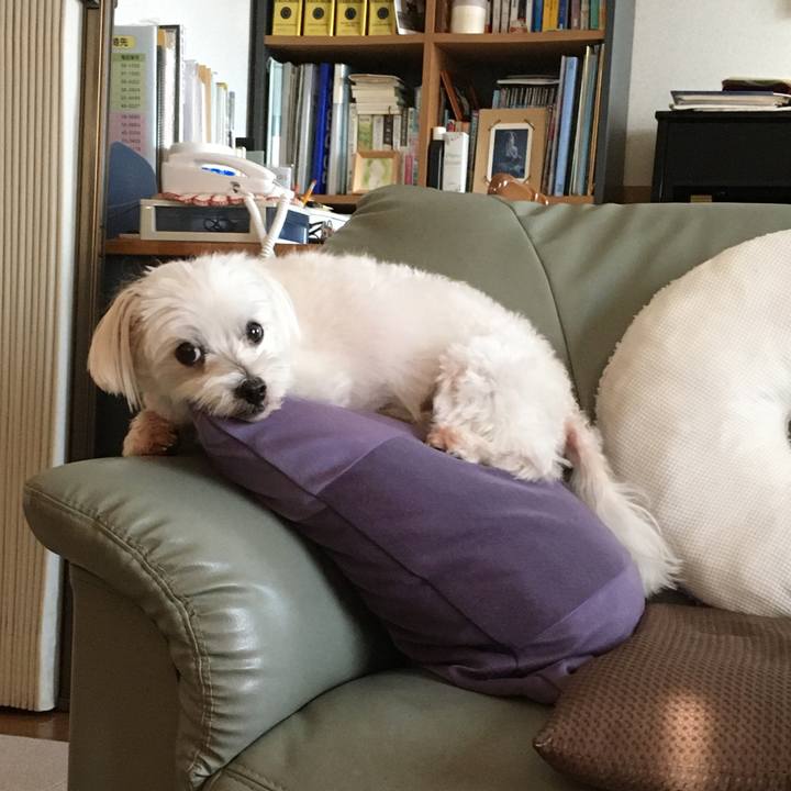 B3848b30 4759 4259 846d c1dd039ce235 1597924863015