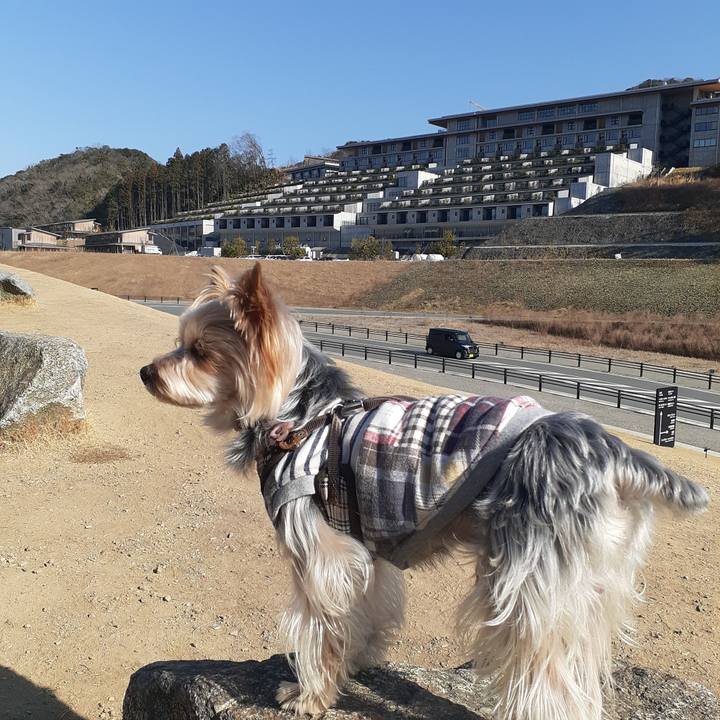 B384a178 ba22 4d0b 9fe8 a03f4d5feed3 1678235959215