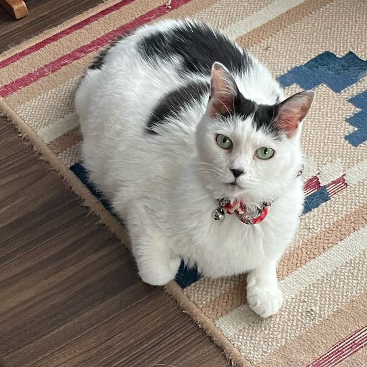 B385031f baff 42cd b9d6 00f23bd64544 1727393830752