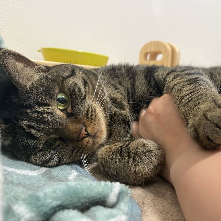 B3851040 de11 45e4 a395 68a74b65d37f 1764382081000