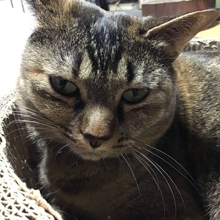 B3853f1a 394d 40de b891 6c069fc26a5a 1732957982133