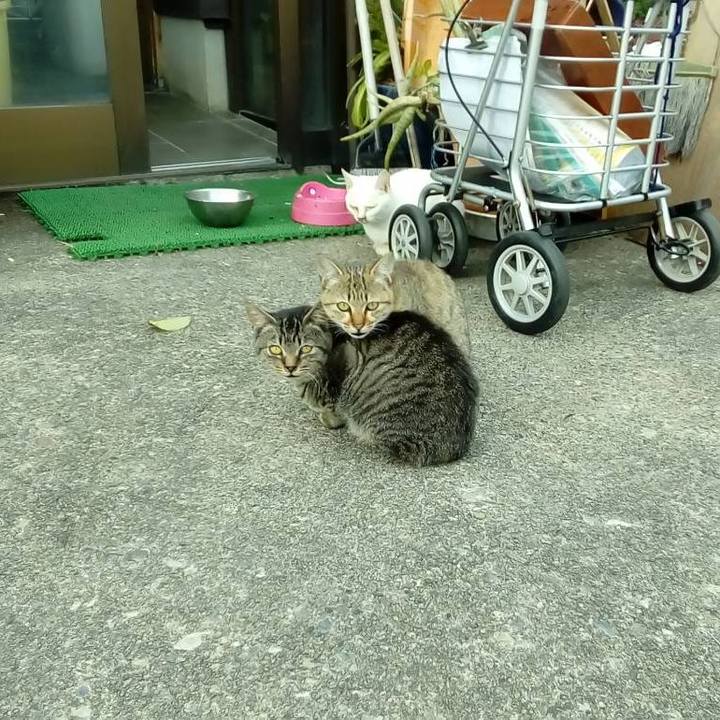 B3854570 737c 4be3 8b64 f261909dad76 1542368681149