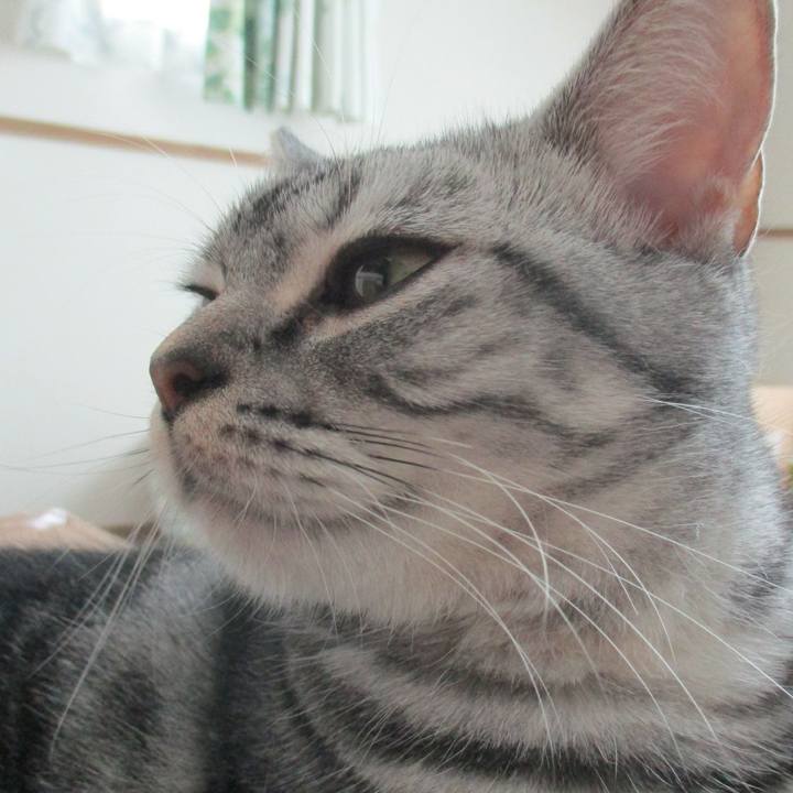 B38549a6 192c 433d 92b5 70f11b1d870b 1566647935966