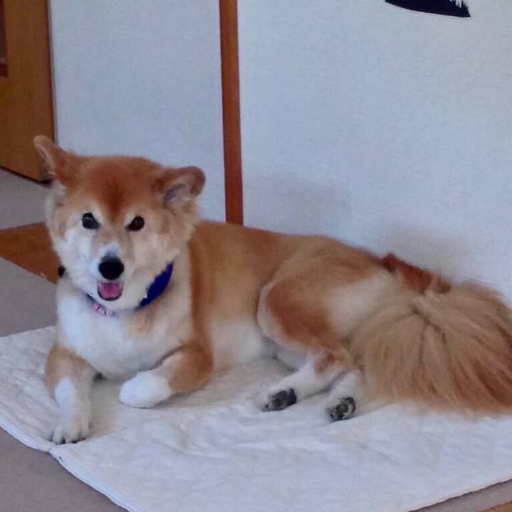 B3854cf3 f27d 47da b4db 5c68657215b8 1524276295268