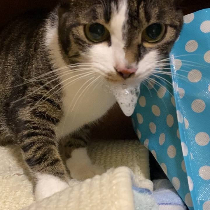 B38553f9 7736 45ac bdb4 36994588cb3d 1675651213283