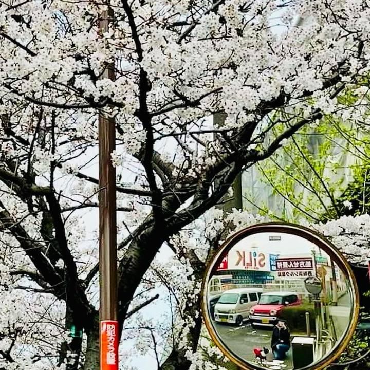 B3856e21 aec0 4fda adb5 4c15d2b16a93 1743475995502