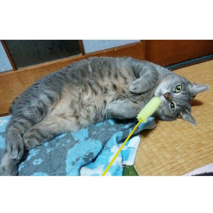 B385a636 8275 4836 a9b6 774e7ed58eb9 1524702923535