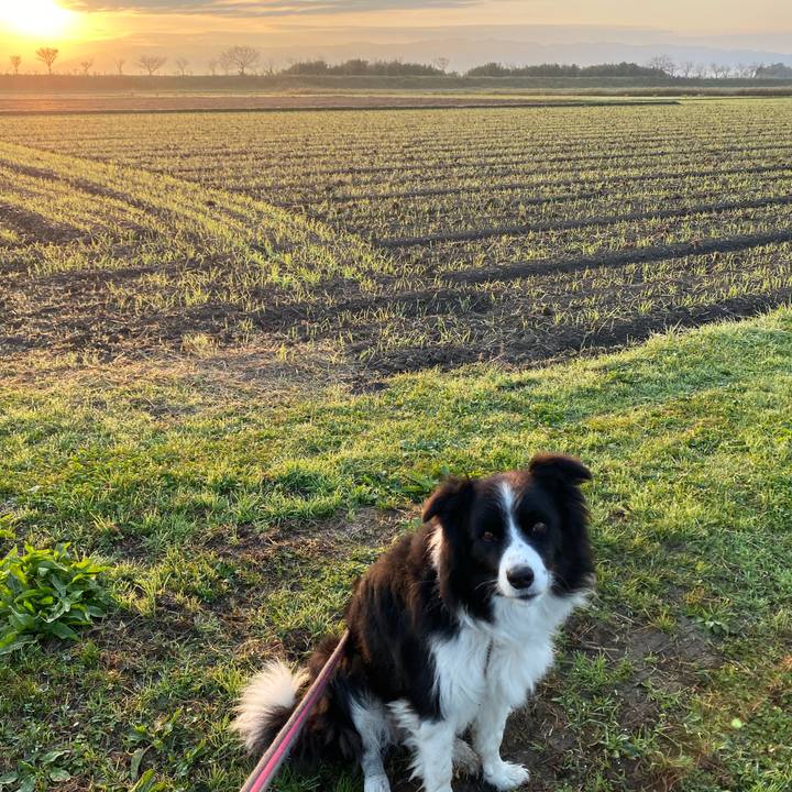 B385caf8 82e9 47d2 b4dd 42578f0bc249 1606266121345