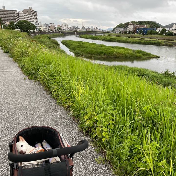 B3861883 d295 4040 9587 3649b2fe07e0 1656321512878