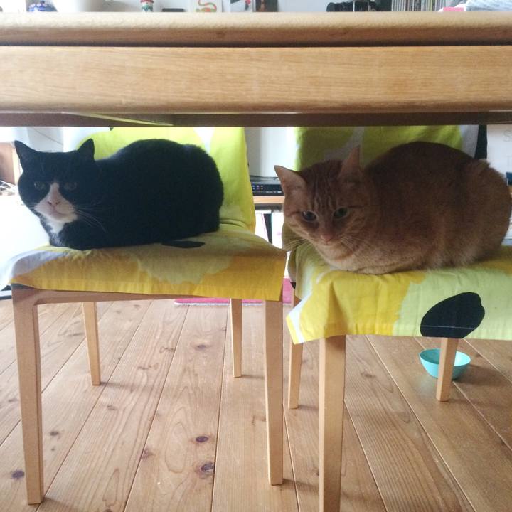 B3862f88 7ed6 40af bf4f 03fbb9190ec9 1518648723160