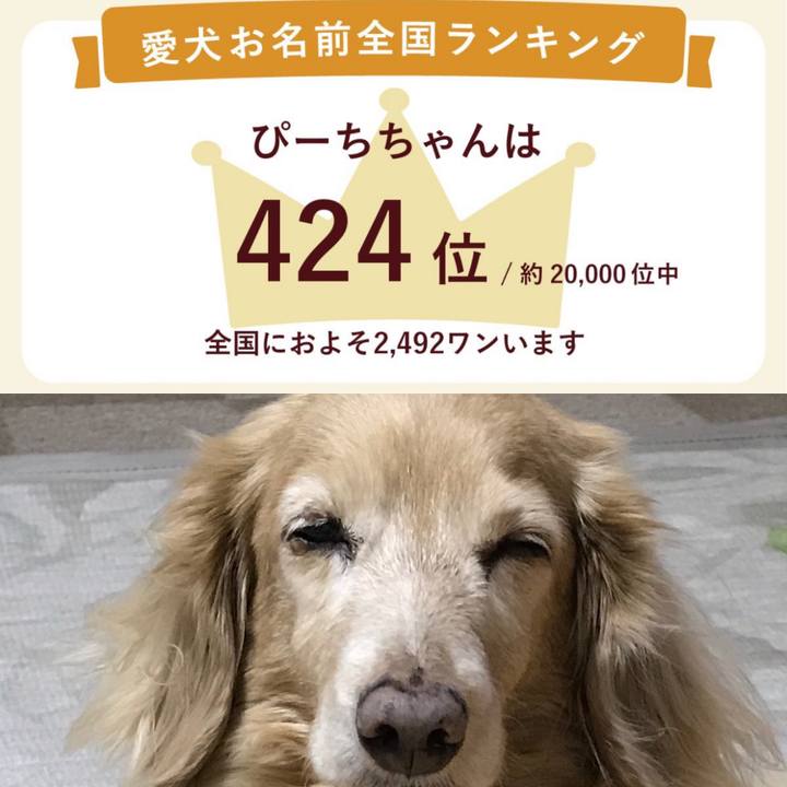 B386457e 8139 46a3 a34b 658c2f974ce9 1684585102858
