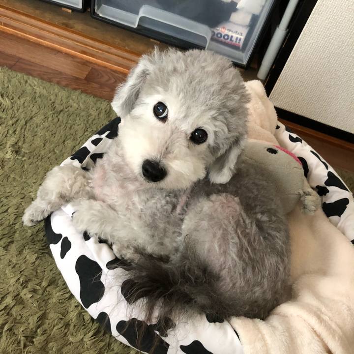 B3864e8f fe47 4f1f bb83 019bb37e6d54 1535067793665