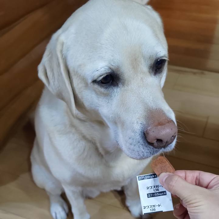 B3866176 0842 4e82 9382 866577948e4c 1668939946030