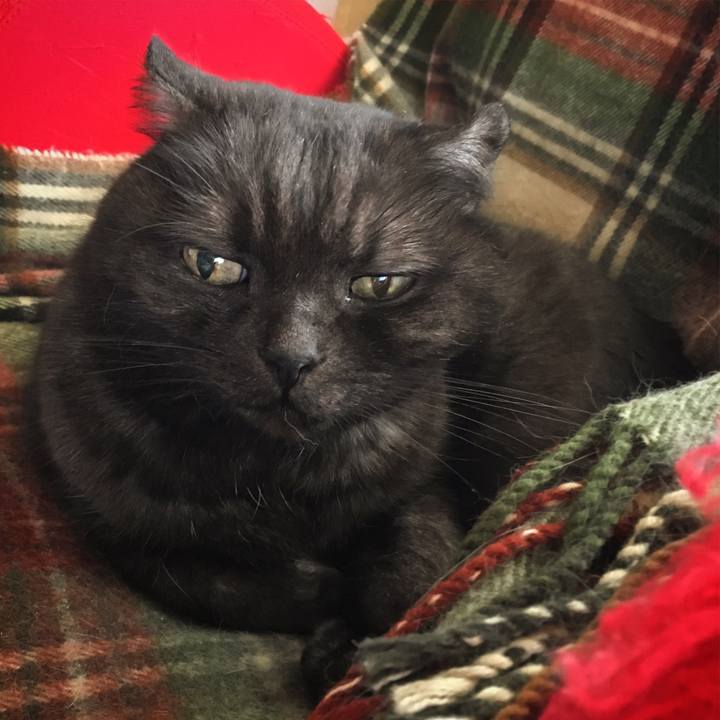 B386d16b c694 4778 85a6 8bc785e890b8 1543933570641