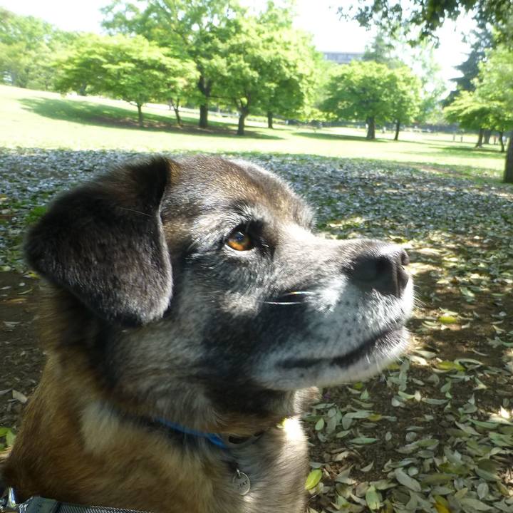 B3872acd 36b7 4f57 8e33 c9e3dd0a2ef8 1579687744326