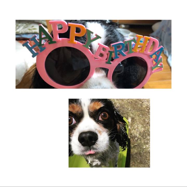 B38743fa 53a9 4153 9d8b b722c97544a2 1593836654474