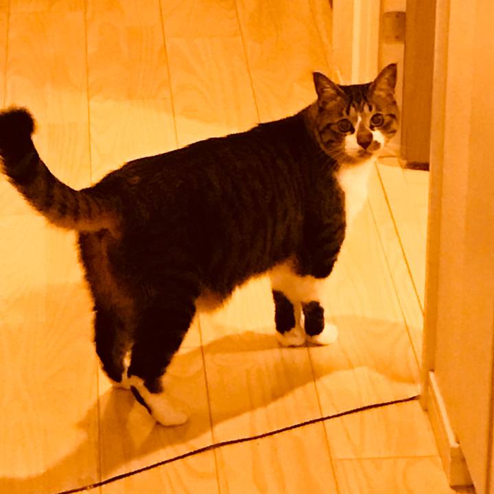 B3874cdd 7417 4dfa 9538 8791ba7614b8 1521364432017