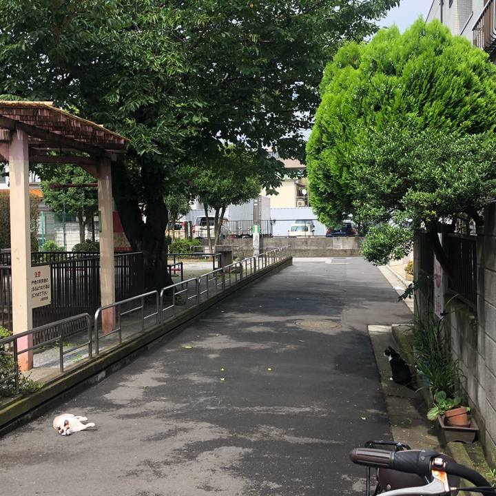 B3875c95 928f 44c2 a4eb c6ab87e3e2f2 1594647323190