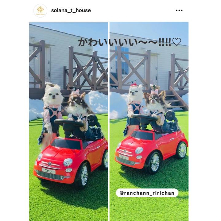 B3875eb8 1932 4587 8c0c 3bfc2013a097 1717977524562