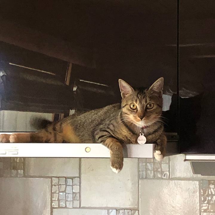 B38770fe 362a 4730 a50b e466606a40ff 1570242054986