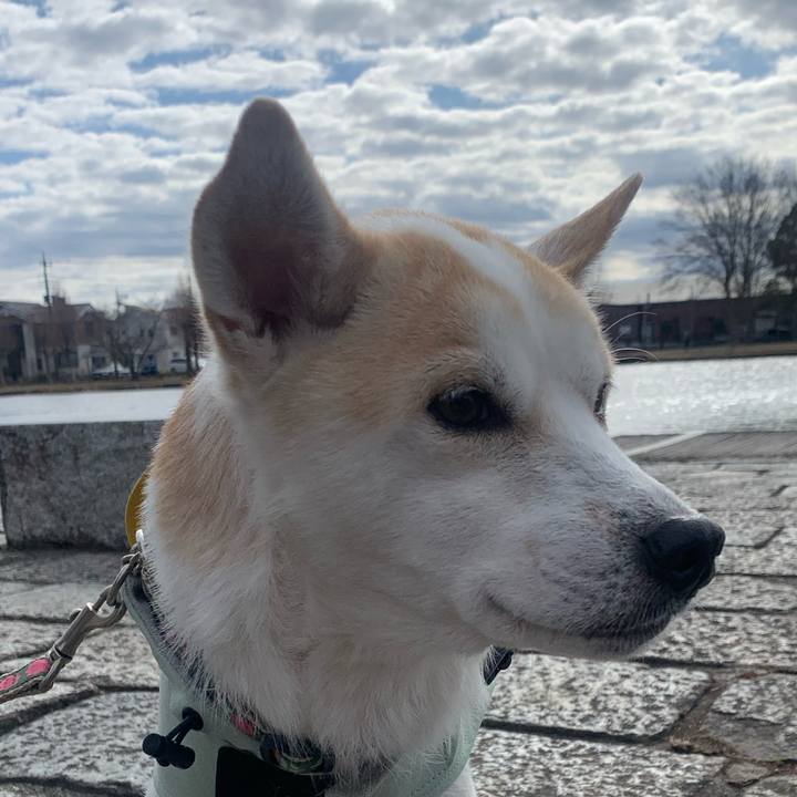 B38789ae 1bf3 40fd b939 9fb48412fbe4 1709555457614