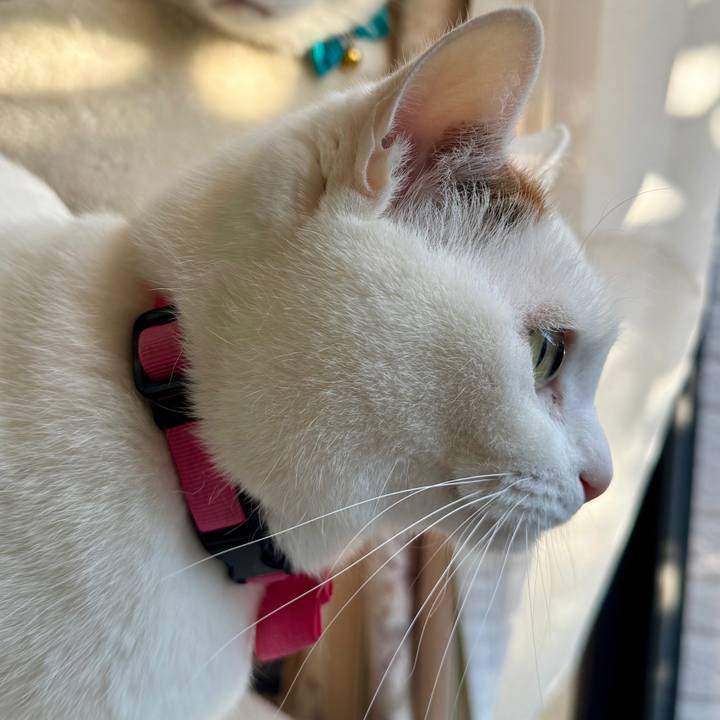 B3879ac6 8bec 47b8 b911 b473126078c9 1767413418669