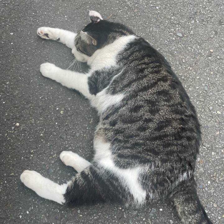 B3879d89 f37f 4e36 8427 89983d24dd27 1694938535695