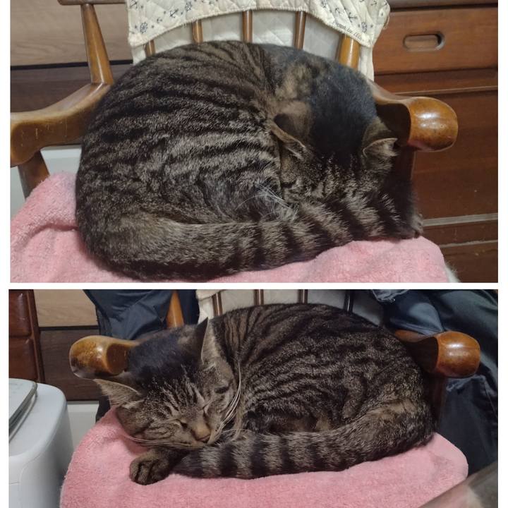 B387b274 fa21 4fbd bb68 dac501721f09 1712543268757