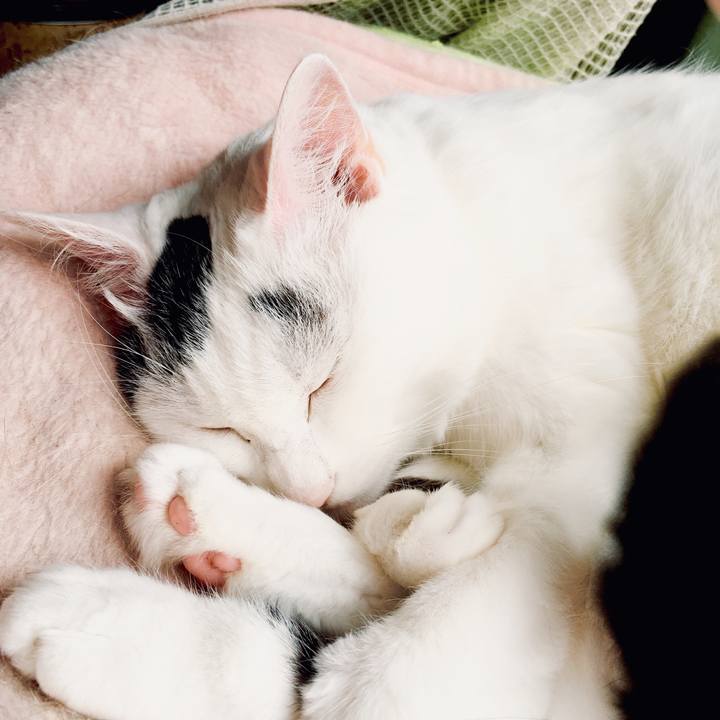 B387c63e 1a81 44ee ad5a bd24ac4fcfbe 1561865212122