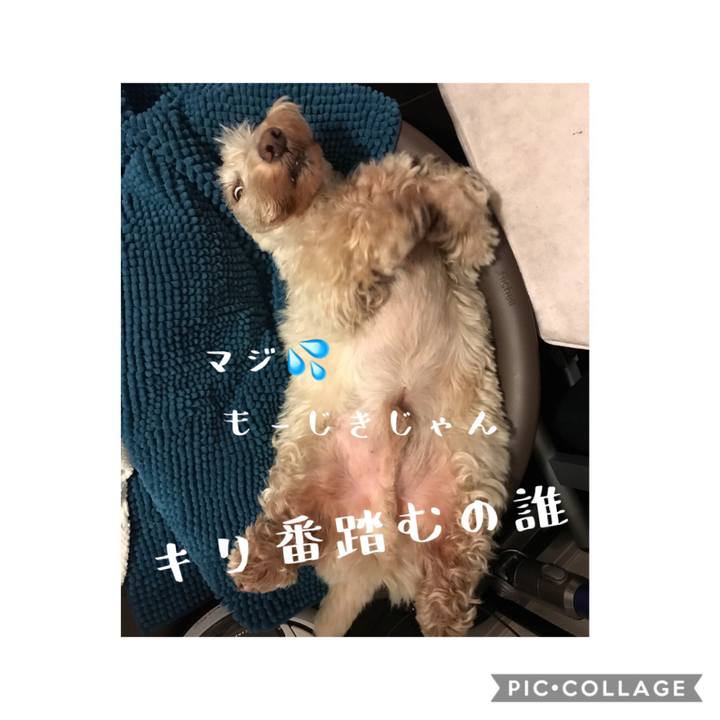 B387c6c0 4f8a 43fb 8303 7419beb3daf3 1578485362412