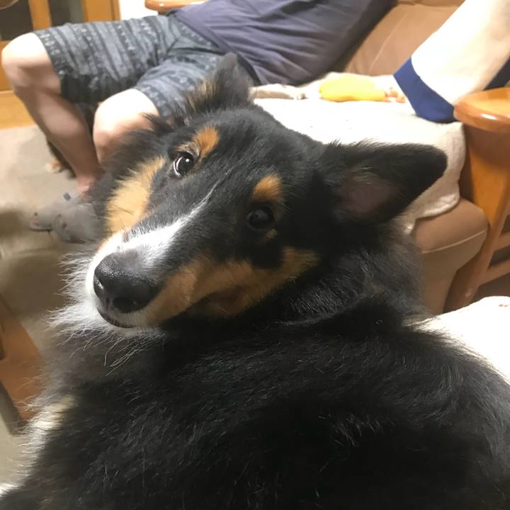 B387cae1 3fe4 4c5a be02 467af63133db 1537130973886