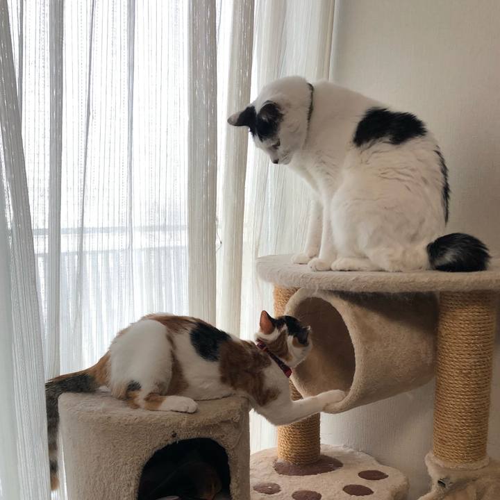 B387f86d 9282 4260 ae05 dbd2161f7061 1570059447950