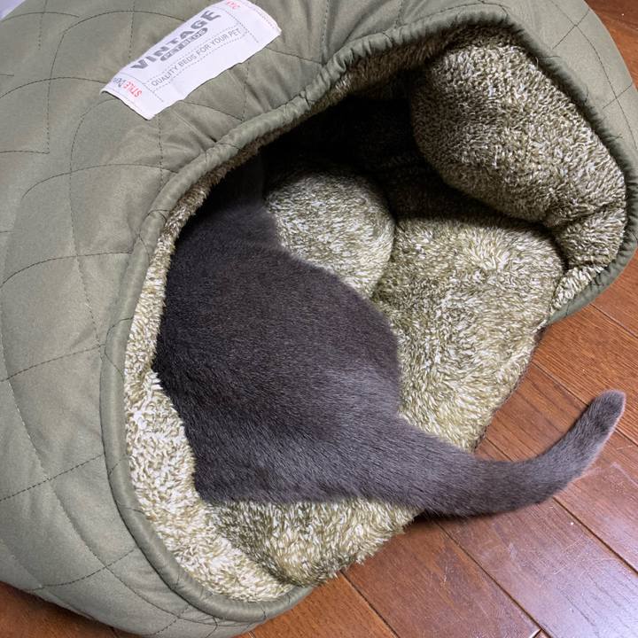 B388049e b511 4d2f b1a2 b10a89f76169 1571642790359