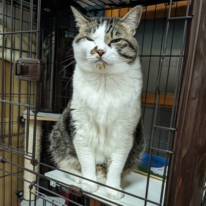 B388105e 2f2e 489b b0f1 0e45fb875e84 1717308093616