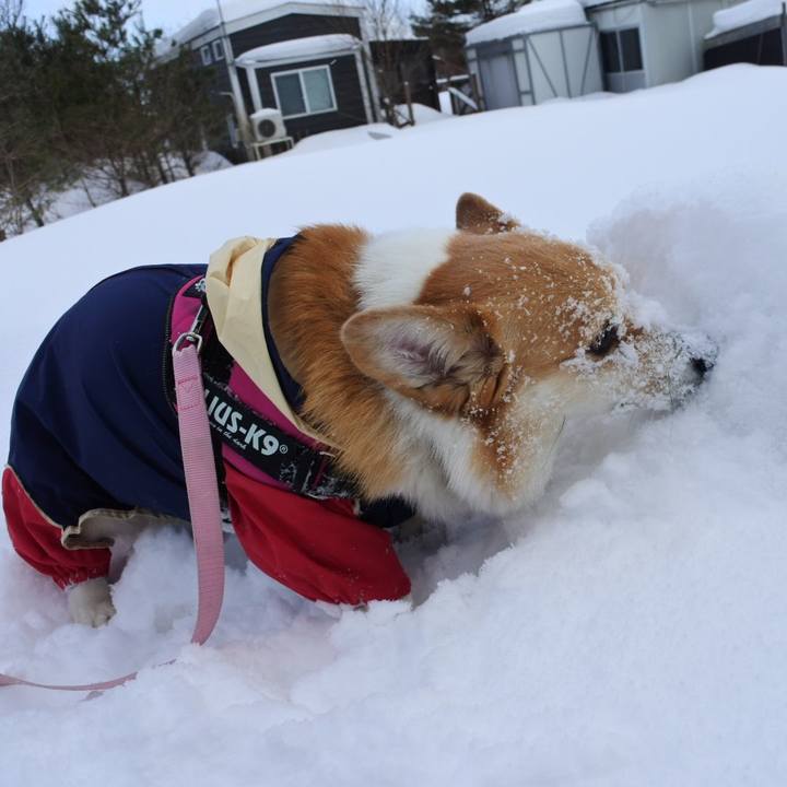 B3881585 044d 473d 831c eb3e5e4c9579 1644137425683