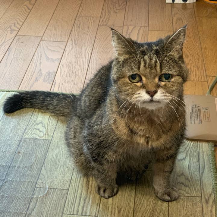 B388207a 8693 4872 a0d0 dcb17aa75182 1582332688573