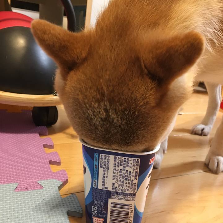 B3882242 20da 49cf b54f 70d337b68cb8 1575286358786