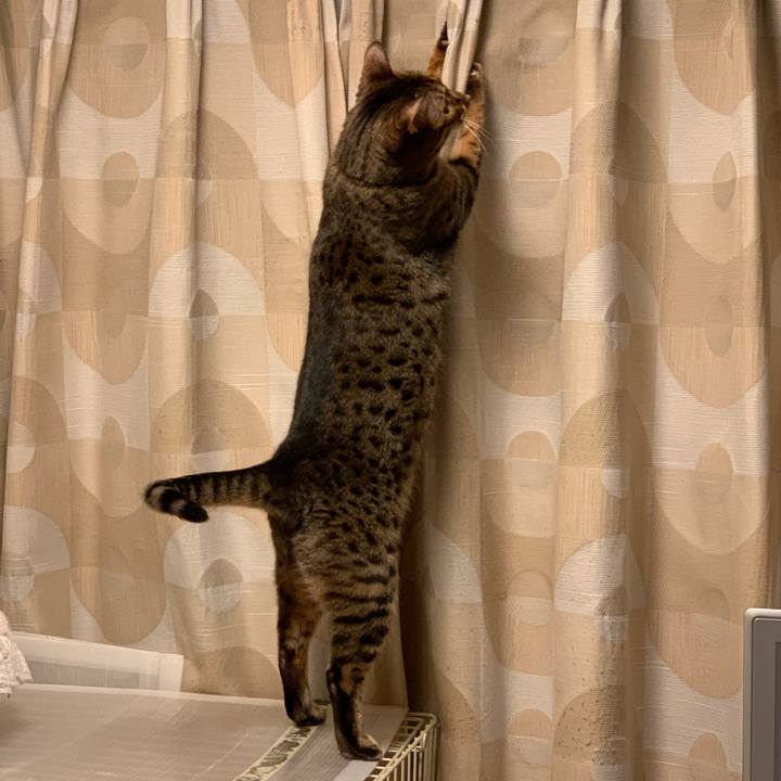 B3882ade 83d9 4d45 9511 eb960d06cf9c 1582885275530