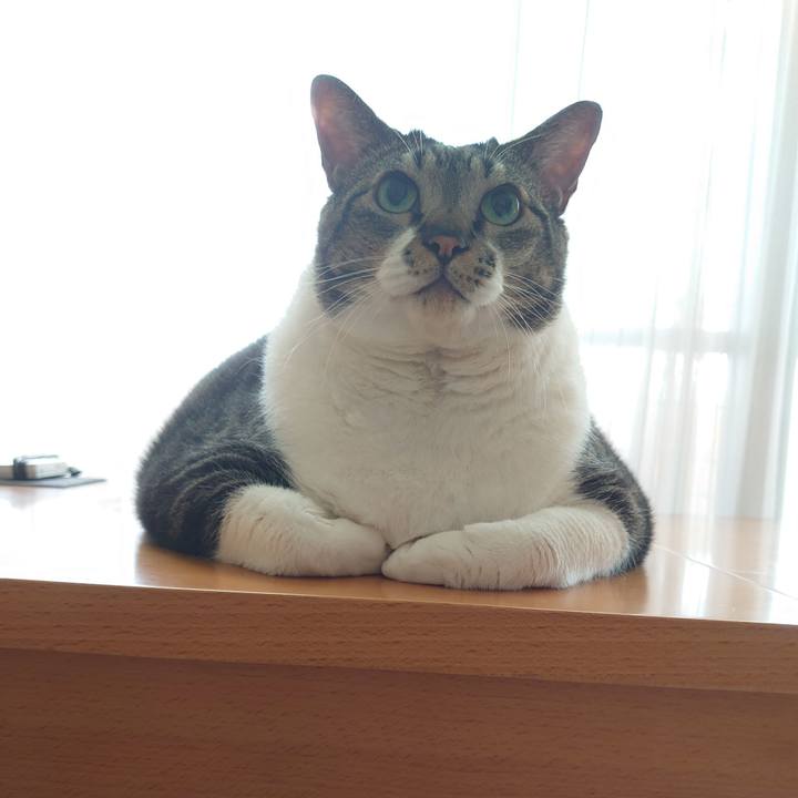 B3883e23 2895 446c a5f5 799b925edf97 1598308156685