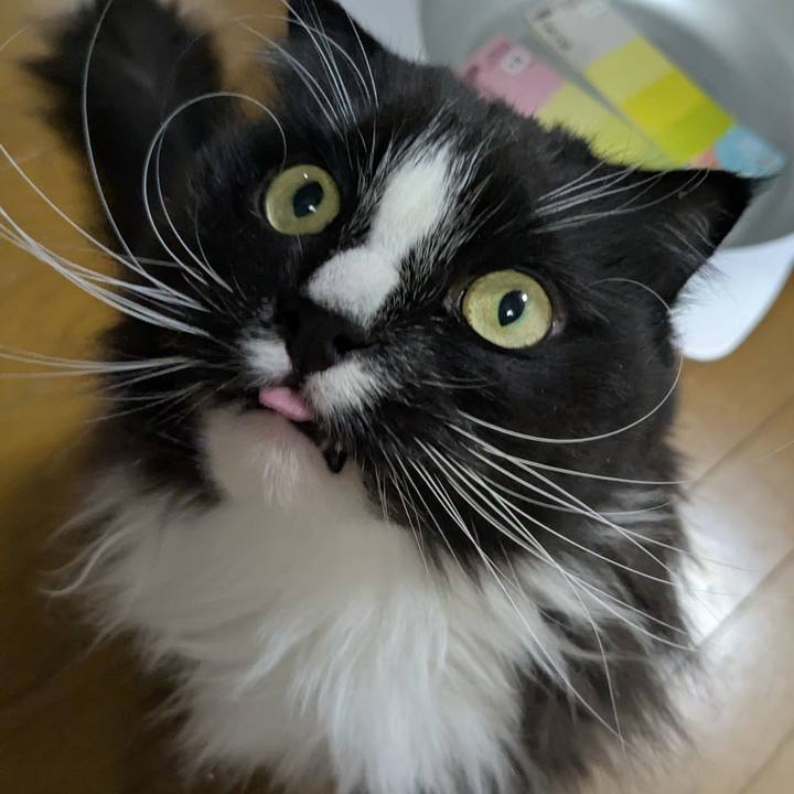 B3883e98 7c83 4f5b 9134 c55f3299cba2 1742715736440