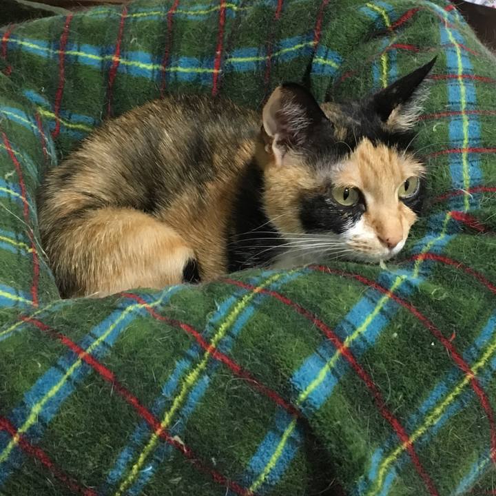 B3885ee3 3f64 400d 8c67 7c2f58795e86 1518958982417