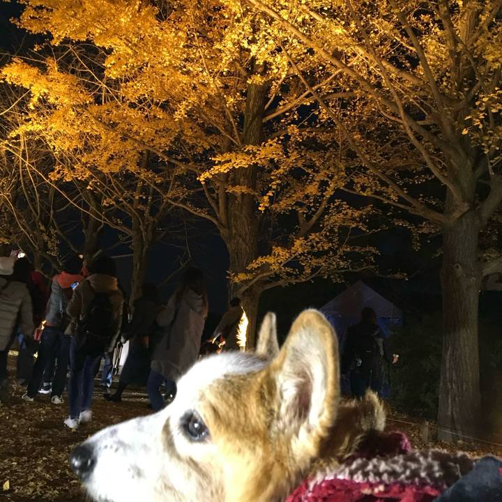 B38863a1 aa73 4a91 9a37 0ddc3ef74164 1701304253460