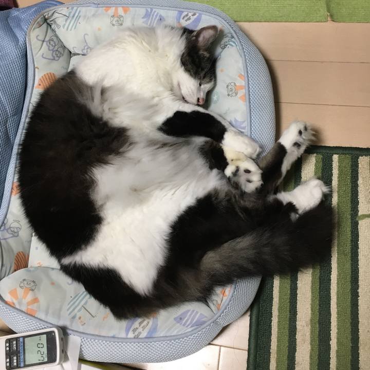 B3887787 5f26 4e6d 911b 5210e71adf42 1561998082445