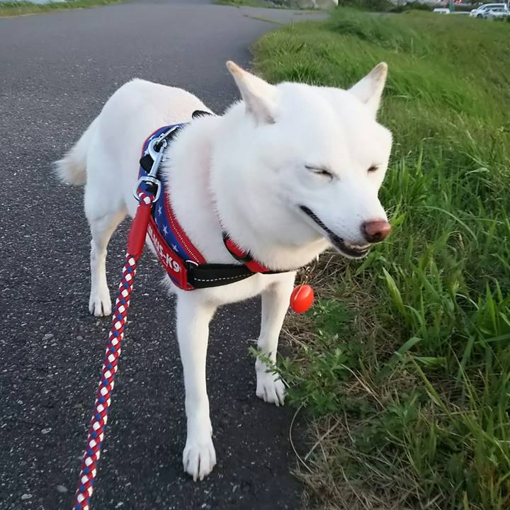 B3887fe7 9d5a 4062 b371 86c4ebd113e9 1569229926953