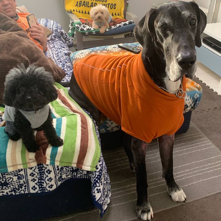 B38882e4 1b4c 483b 818c 77075278a9ac 1576103874250