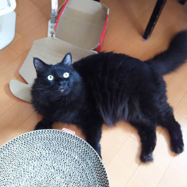 B388c1e3 2bbc 4bd9 a8fc 9ab0487a33ab 1540953176556