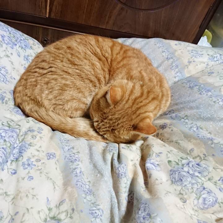 B388caff 43ba 4c18 ac1f c679b7b4c82b 1581941762866