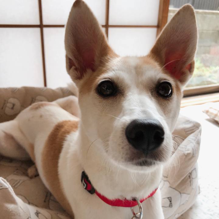 B388cd1b bbd5 4be0 b468 89fe55a3fc80 1600842113068